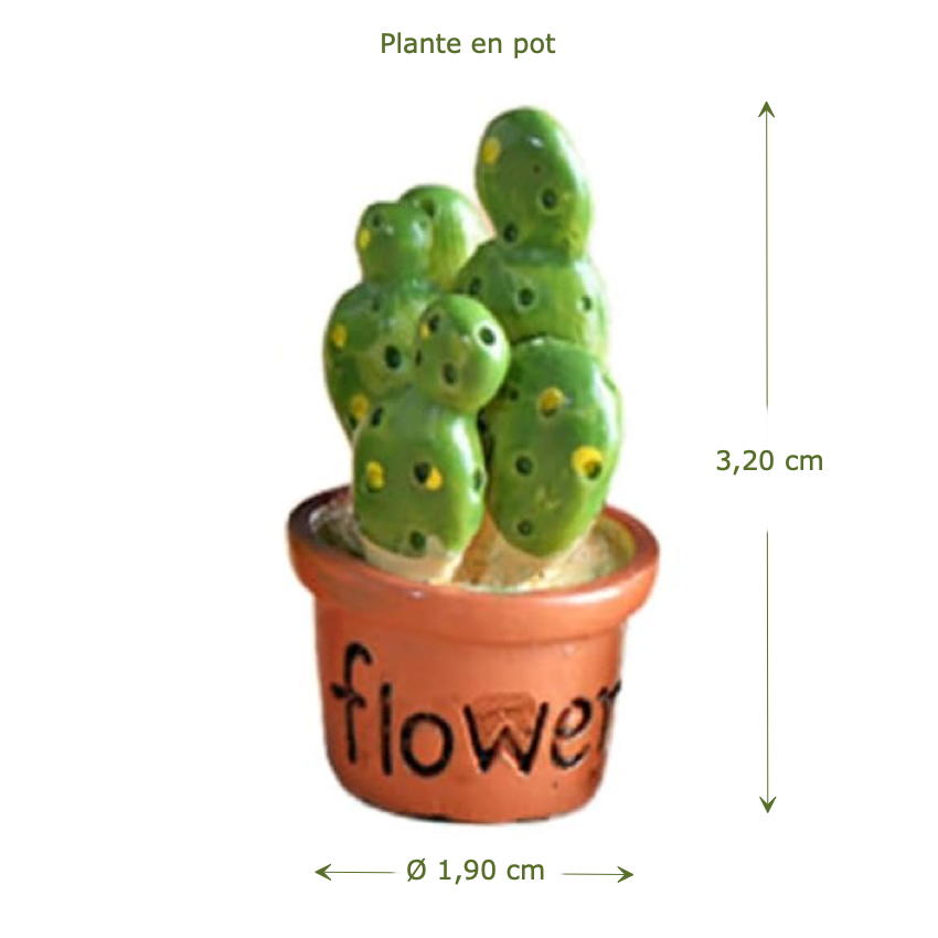 Plante verte en pot – Image 3